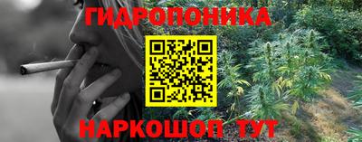 гидра Кунгур