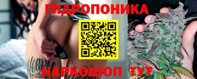 прущие грибы Кулебаки