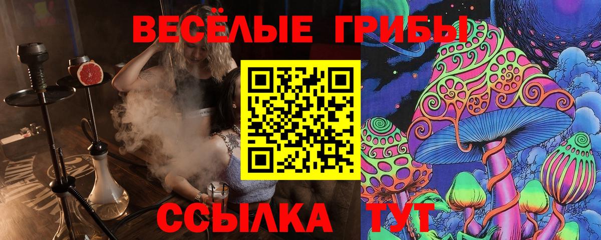 Городец  Псилоцибиновые грибы мицелий  Вход с VPN  где продают наркотики  Галлюциногенные грибы прущие грибы 