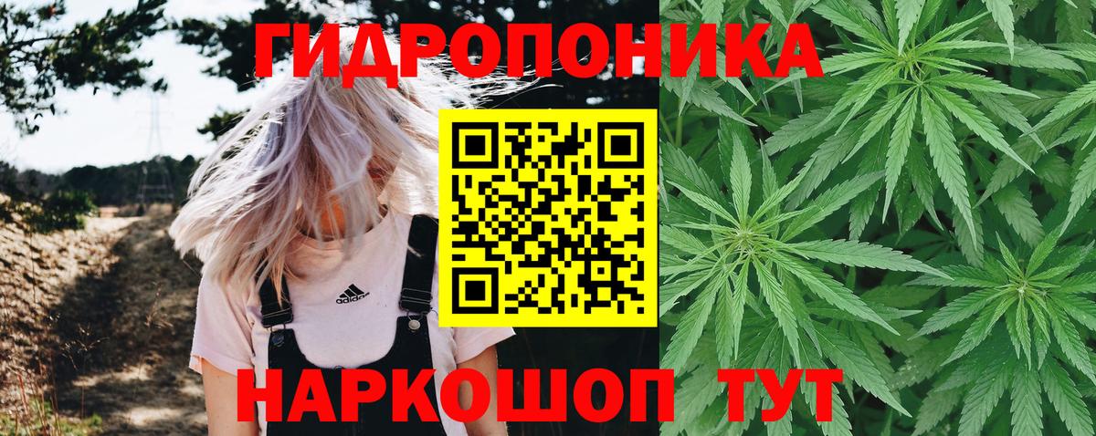 Городец  Бошки Шишки семена  Конопля гибрид  Каннабис THC 21%  МАРИХУАНА White Widow  Вход с VPN 